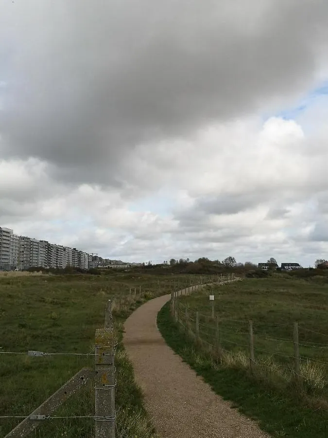 Апартаменты Seaview Миделкерк